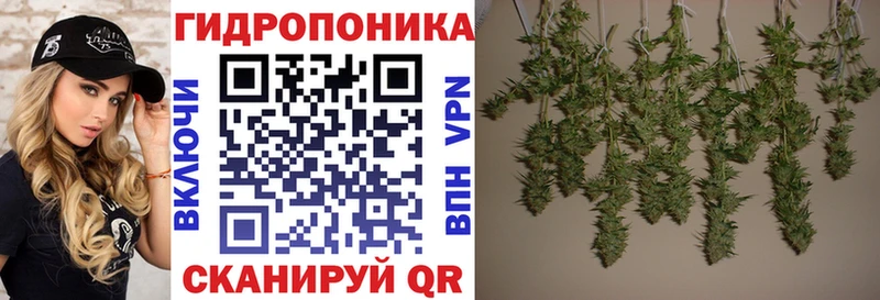 Купить закладку Конопля  COCAIN  Alpha PVP  АМФЕТАМИН  Меф  Чегем