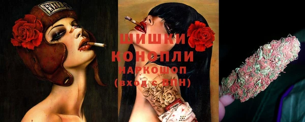 дмт Кукмор