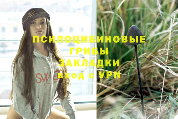 дмт Кукмор