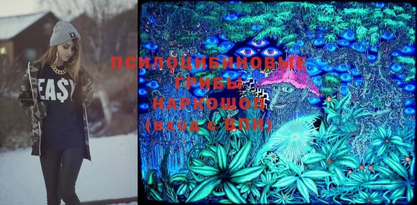 дмт Кукмор