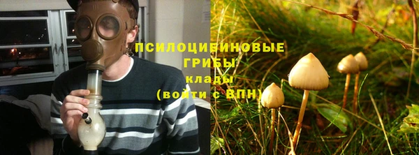 дмт Кукмор