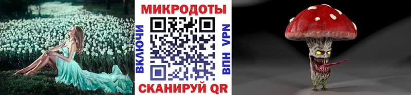 Купить закладки  Чегем  Галлюциногенные грибы GOLDEN TEACHER 